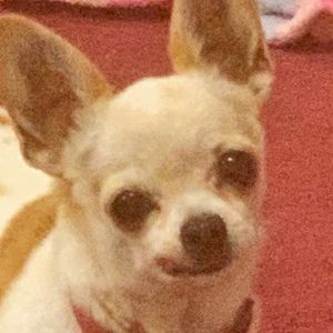 Meet your Posher, Deborah